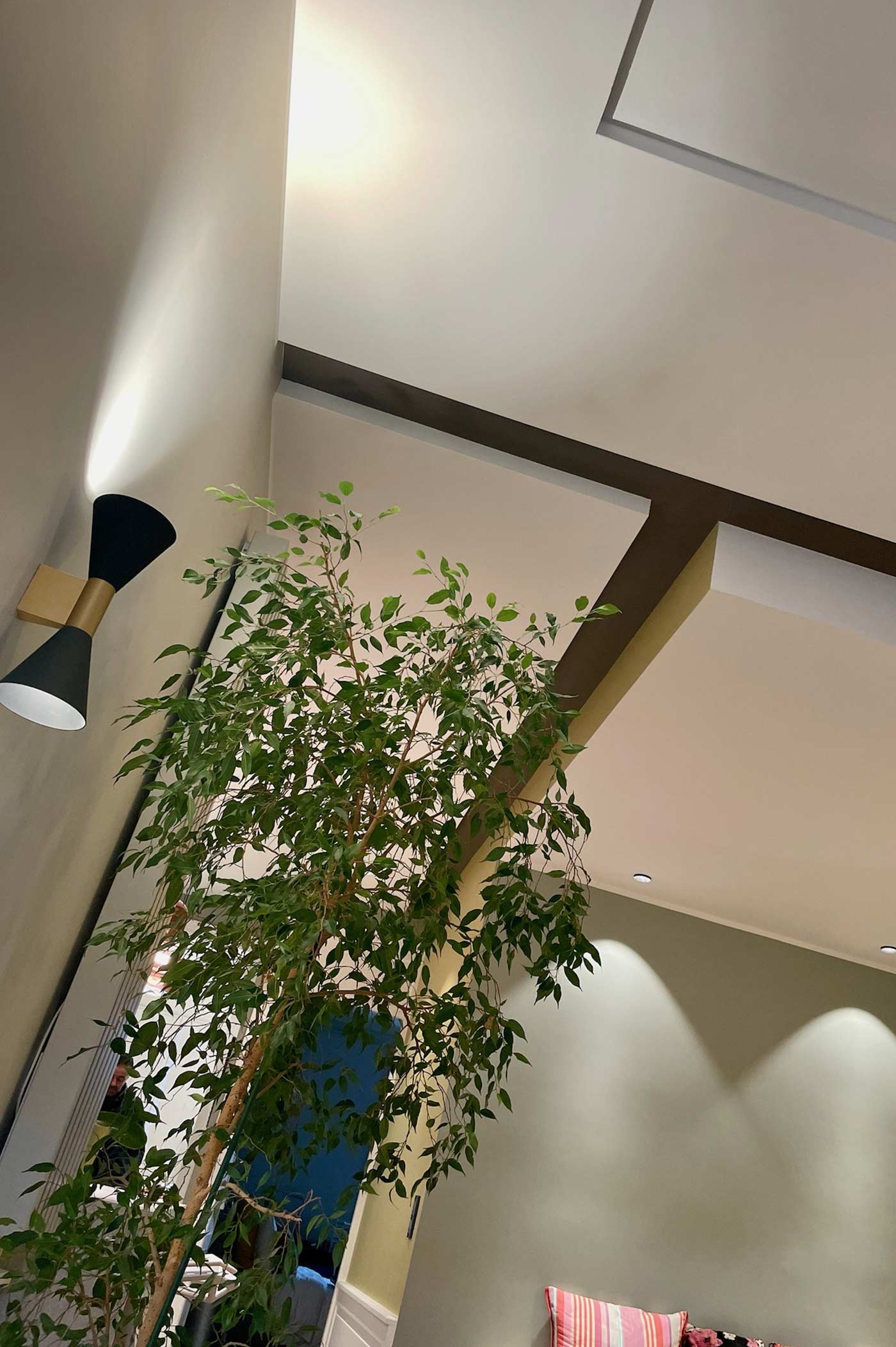 Appartement Canopée — Après